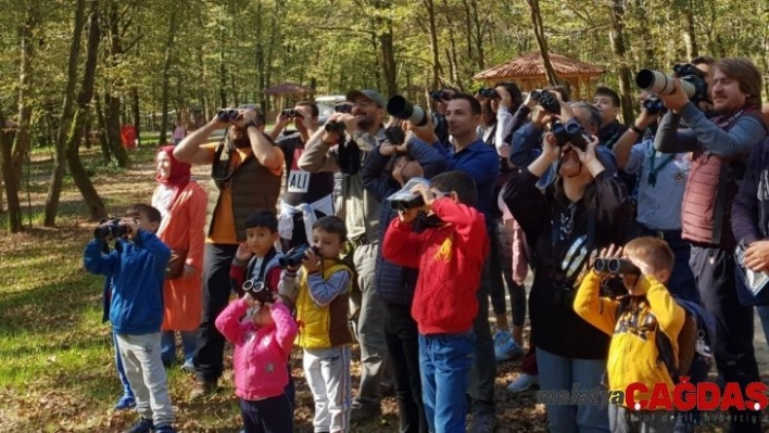 Kuş gözlemcileri Ormanya'da buluşacak