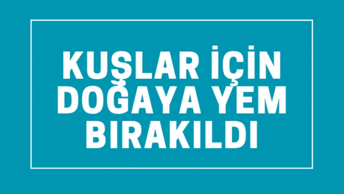 Kuşlar için doğaya yem bırakıldı