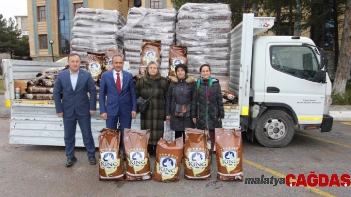 Kütahya İl Özel İdaresi sokak hayvanlarını unutmadı