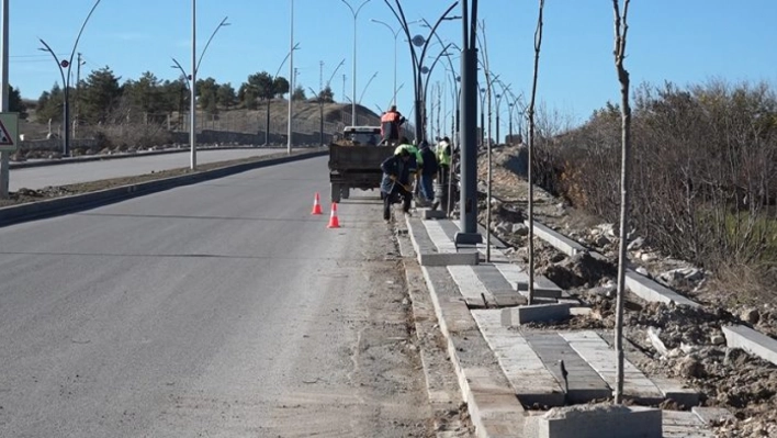 Kuzey Kuşak Yolu'nu Yeşillendiriyor