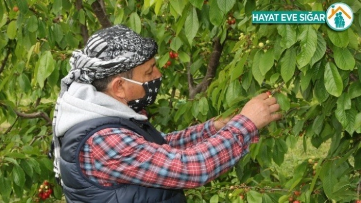 400 liradan alıcı buldu