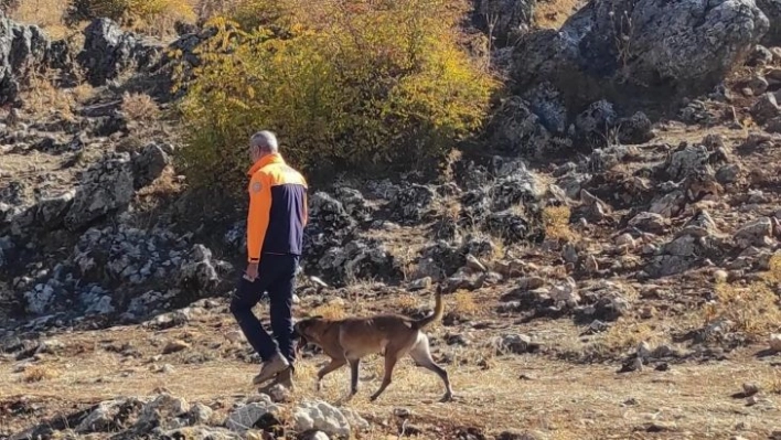 Lice'de dünden beri kayıp olan epilepsi hastası, 145 kişinin çalışmasıyla bulundu