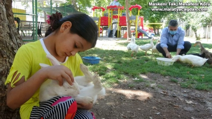 Mahalle muhtarı, çocuklar için mini hayvanat bahçesi yaptı