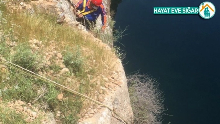 Mahsur kalan keçiyi AFAD ekipleri kurtardı