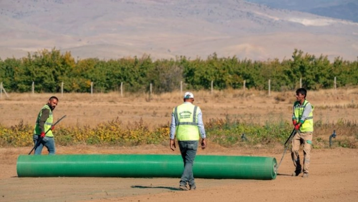 300 bin metrekare alanda çim ve fidan üretiyor