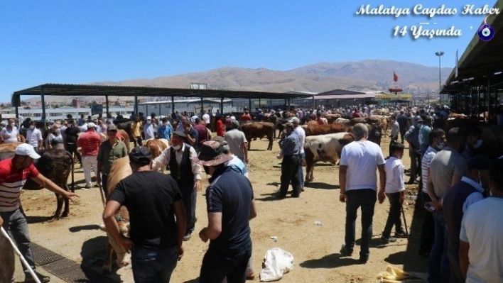 Canlı Hayvan Pazarı'nda Arefe günü yoğunluğu