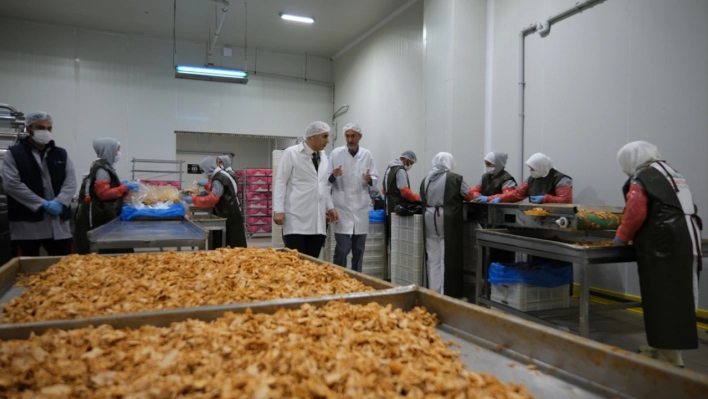 Malatya'da gıda işletmeleri denetlendi