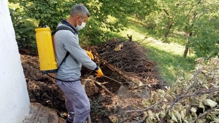 Malatya'da ilaçlama çalışmaları sürüyor