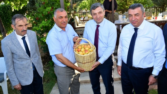 Malatya'da Kayısı Hasadı Başladı