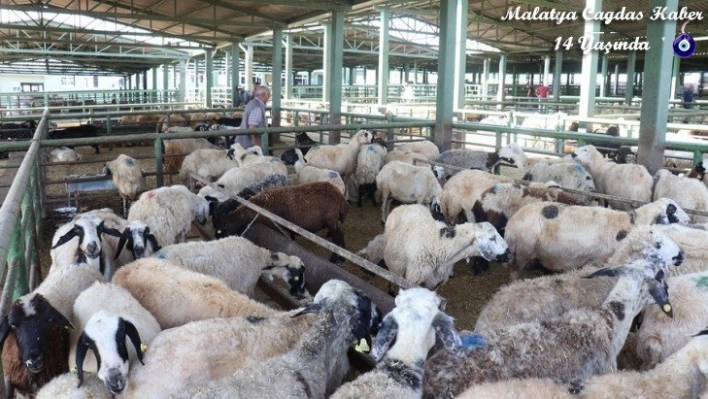 Kurban Bayramı tedbirleri