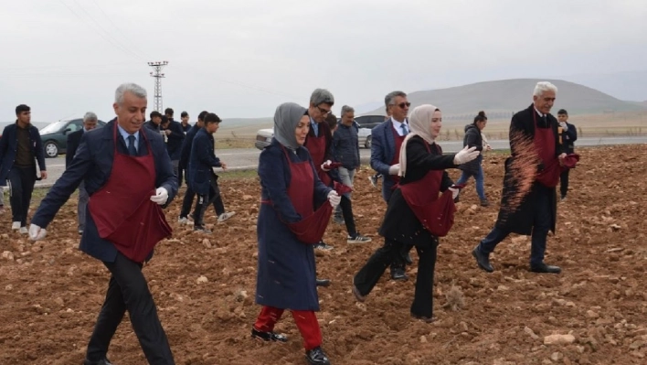 Öğrenciler buğday ekimi yaptı