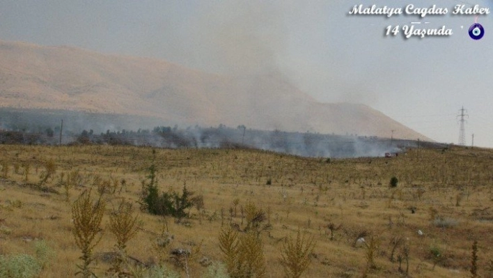 Malatya'da orman yangını