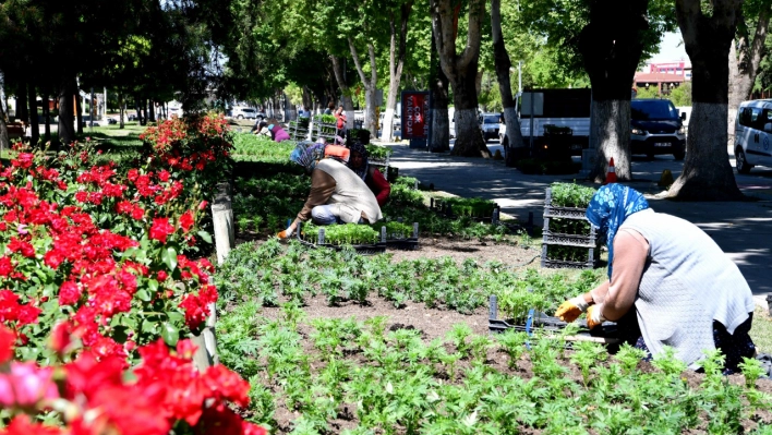 Malatya'da Peyzaj Çalışmaları