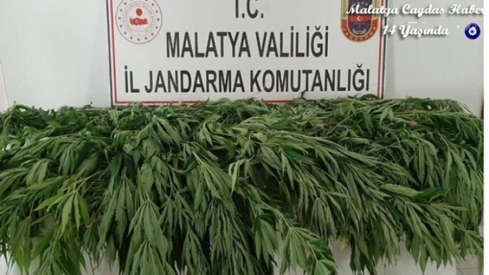 Malatya'da uyuşturucuya darbe