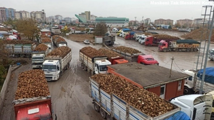 Şeker Fabrikası'nda son 30 yılın başarısı