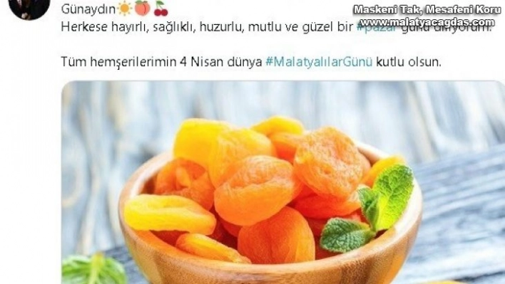 Malatyalılar günü kutlamaları sanalda