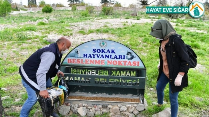 Mamak'ta sokak hayvanları için beslenme noktaları