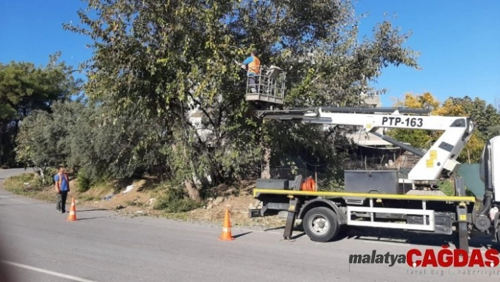 Manavgat'ta tehlike oluşturan ağaçlar budandı