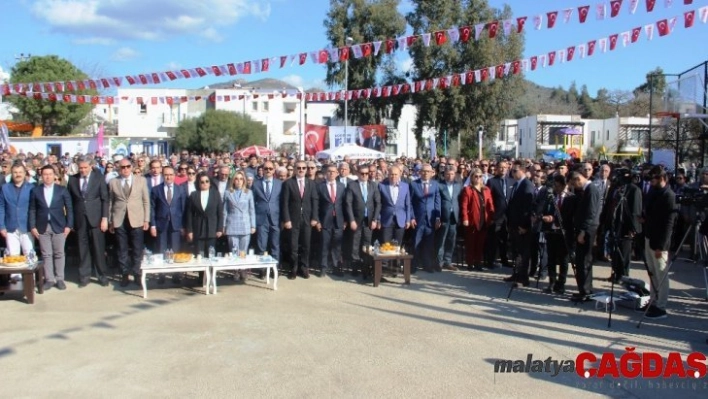 Mandalina şenliğine akın ettiler