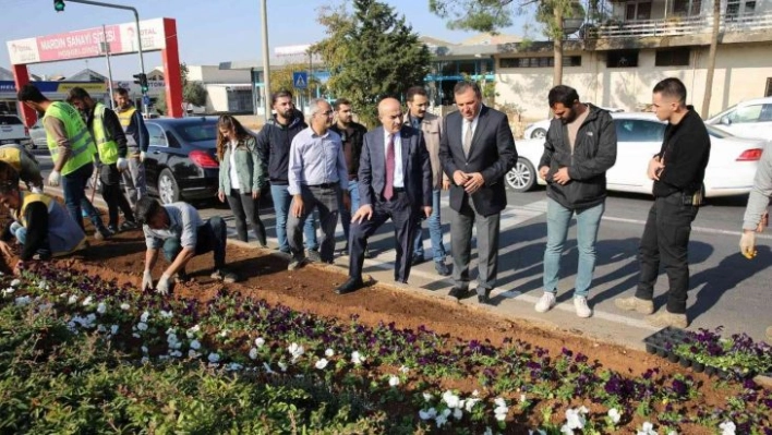 Mardin Büyükşehir Belediyesi, yeşil bir Mardin için çalışıyor