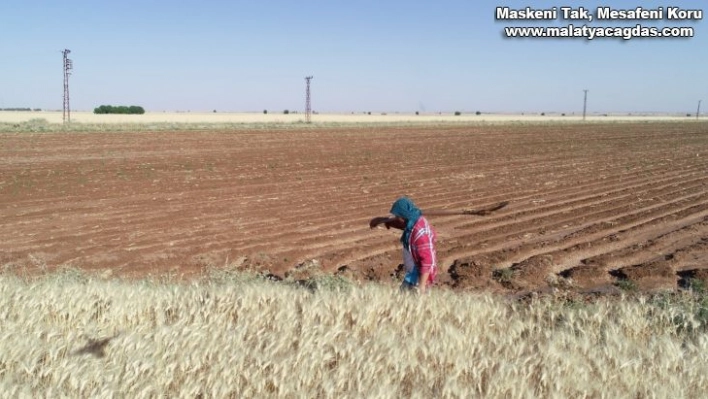 Mardin'de 2021 yılı sulama sezonu başladı