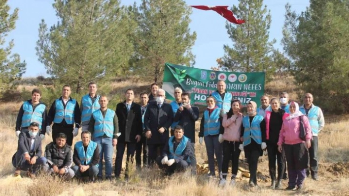 Mardin'de fidan dikme etkinliği