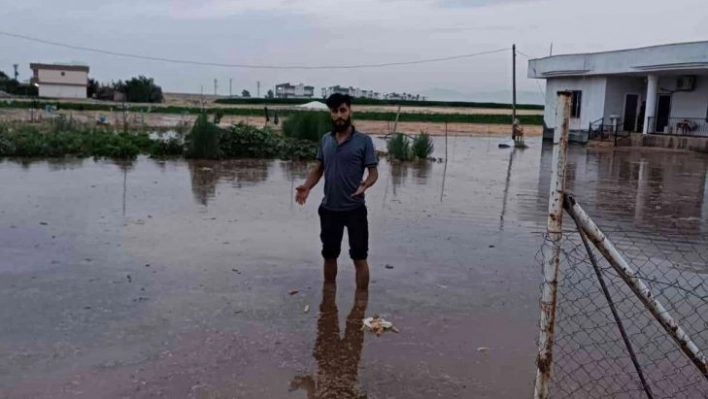 Mardin'de su borusu patladı: Yüzlerce kümes hayvanı telef oldu