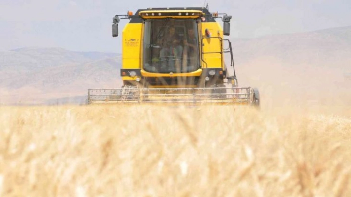 Mardin'de sulu tarım arazilerinde buğday rekoltesi sevindiriyor