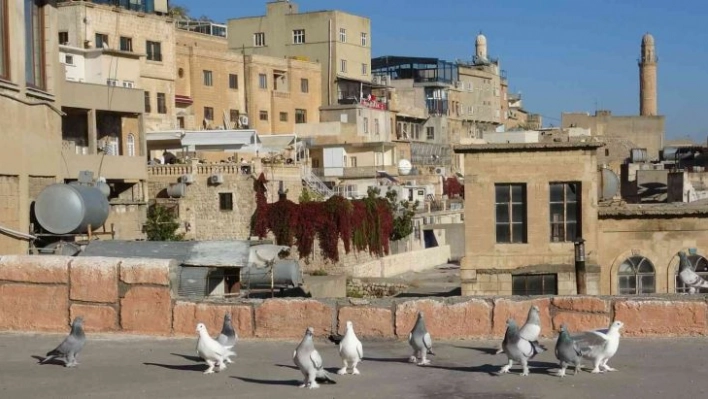 Mardin'de taklacılar tescil edilmeyi bekliyor