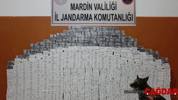 Mardin'de 8 bin 470 paket kaçak sigara ele geçirildi