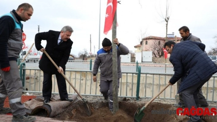 Melikgazi'de 2020 yılı ağaçlandırma ve yeşillendirme yılı olacak