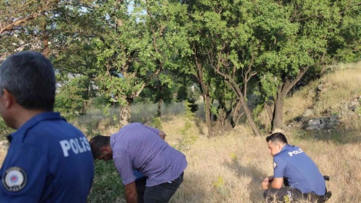 Mesire alanında kan donduran görüntü