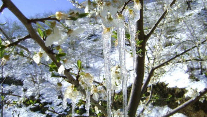 Meteorolojiden zirai don uyarısı