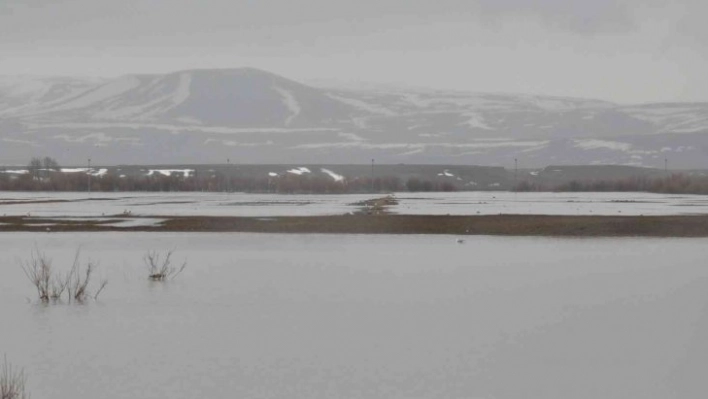 Meteorolojinden Kars için 'sarı' uyarı