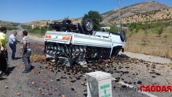 Meyve yüklü kamyonet takla attı