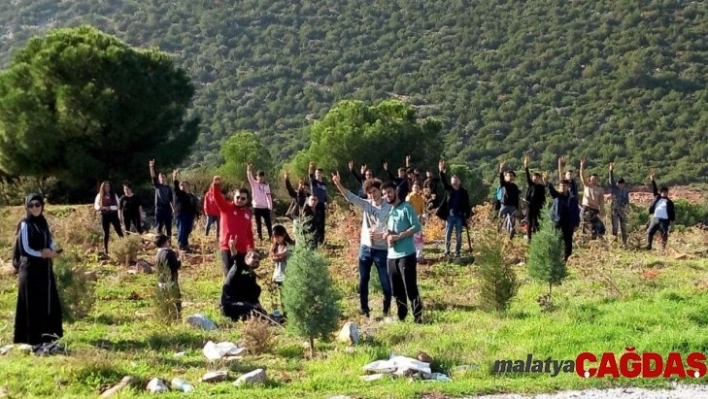 Milas Ülkü Ocakları'ndan şehitler adına fidan dikimi