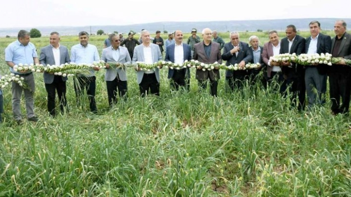 Milletvekili Erdoğan Çiftçiler Gününü tarlada kutladı