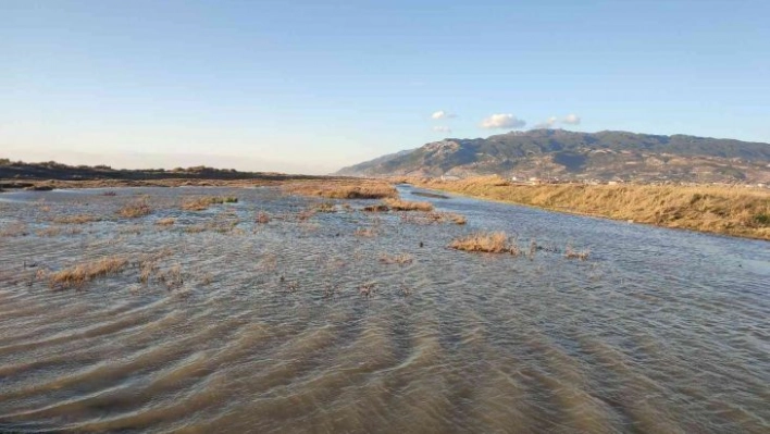 Milleyha Kuş Cenneti yağış sonrası göletler ile doldu