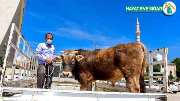 Milli Dayanışma Kampanyası'na anlamlı destek