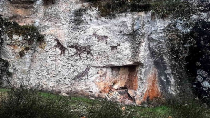 Milyonlarca yıl öncesine ait sanıldı gerçek farklı çıktı