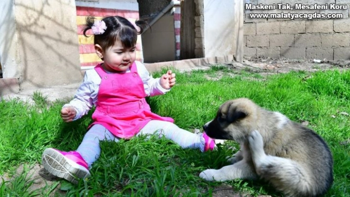 Minik Nisa'ya köpek hediyesi