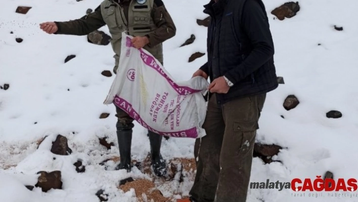 Muş DKMP yaban hayvanları için doğaya yem bırakıldı