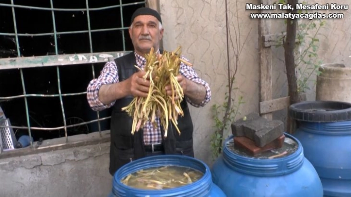 Muş'ta cağ bitkisine ilgi