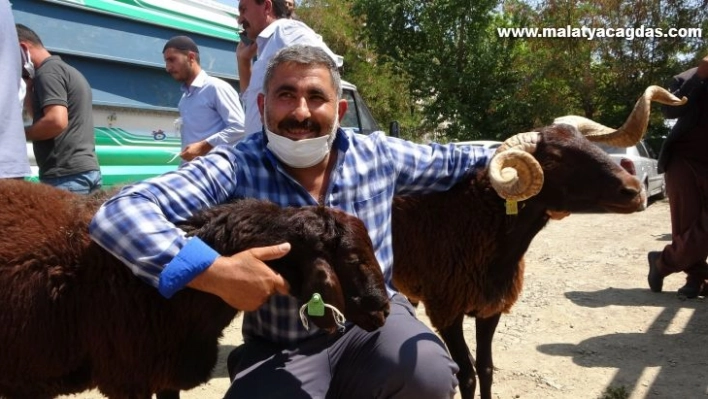 Muş'ta çiftçilere devlet destekli koç dağıtımı yapıldı