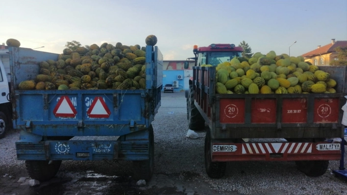 Narmikan kavunu tezgahlarda yerini aldı