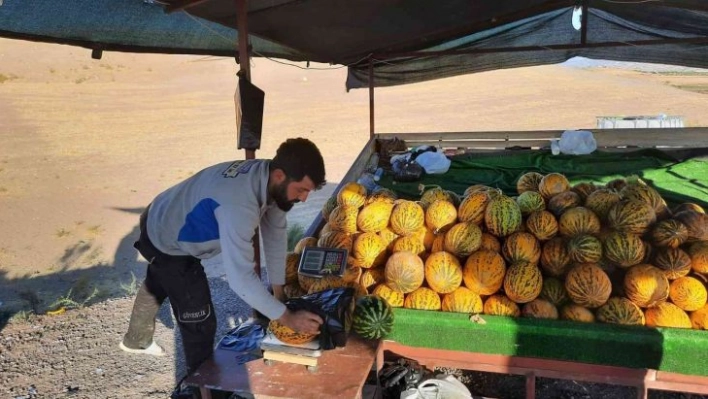 Narmikan kavununda hasat başladı