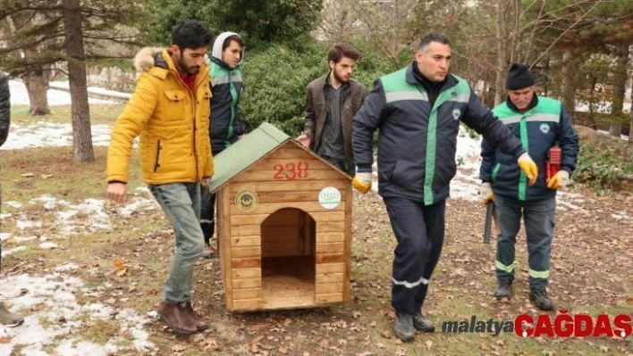 Odunpazarı Belediyesi 'Sokaktaki dostlar' için kulübe yaptı