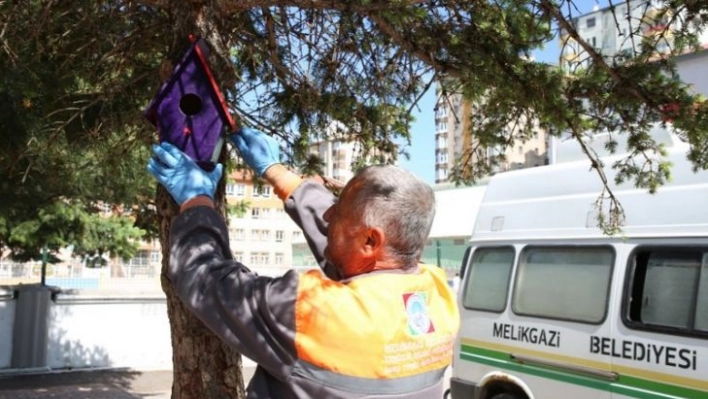 Öğrenciler ve Melikgazi Belediyesi, kuşları yuva sahibi yaptı