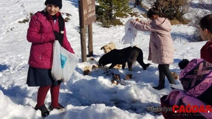 Öğrencilerden doğadaki hayvanlar için anlamlı etkinlik