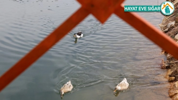 Öğrencisiz kampüste bahar manzaraları